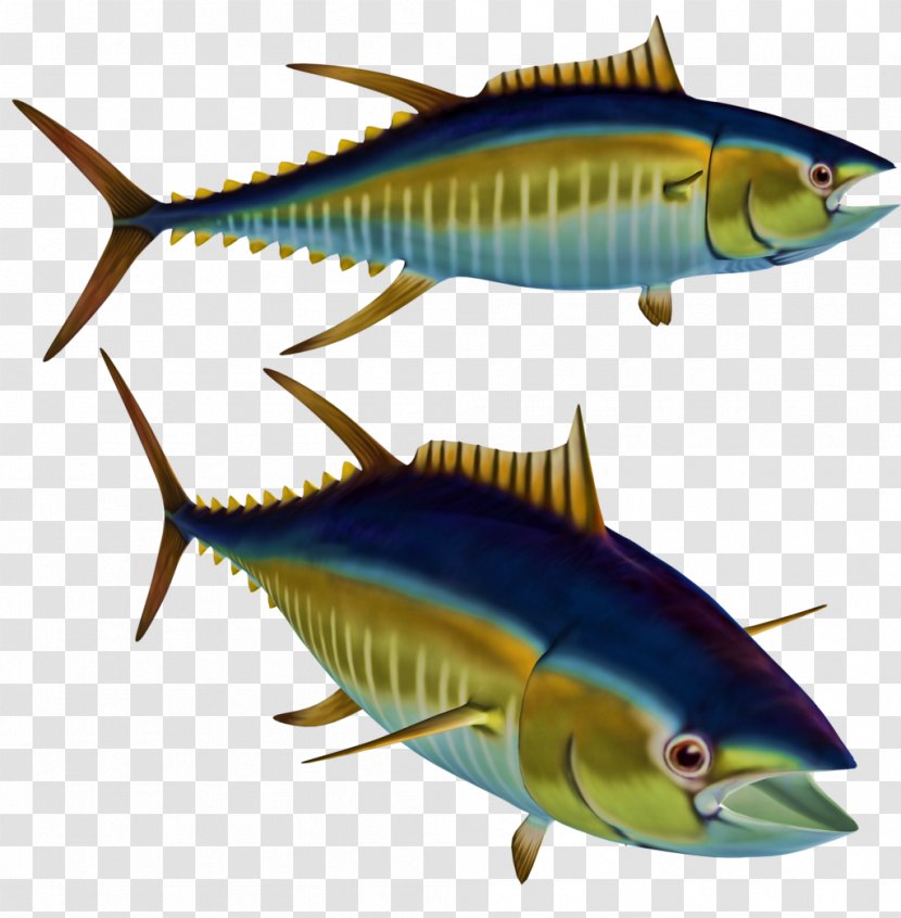 Fish Albacore Tuna Clip Art - Bony Transparent PNG