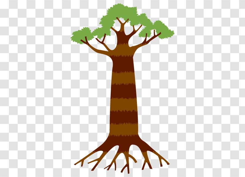 Illustration Root Plants Baobab Clip Art - Plant Stem - Woody Transparent PNG