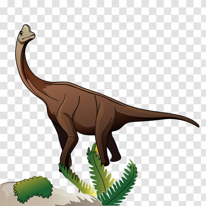 Dinosaur - Extinction - Pachycephalosaurus Tyrannosaurus Transparent PNG