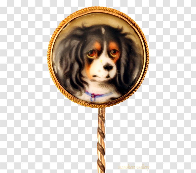 Cavalier King Charles Spaniel Puppy Dog Breed Pekingese - Carnivoran Transparent PNG