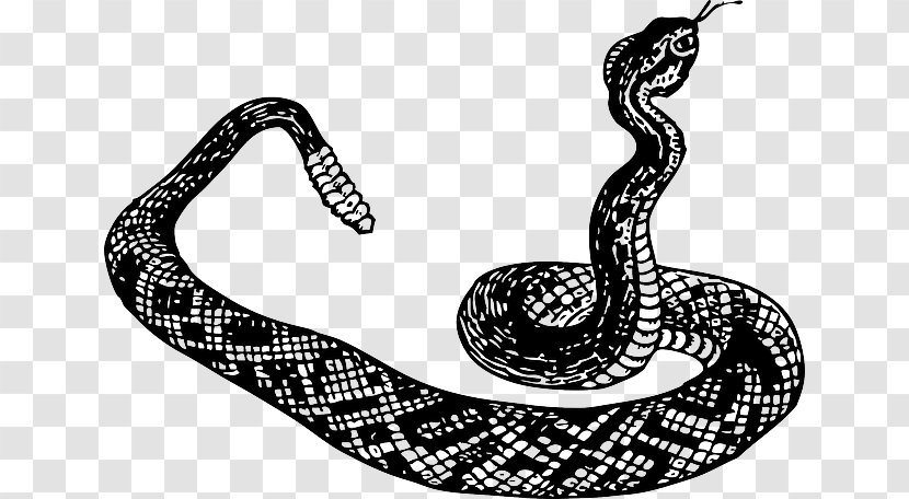 Rattlesnake Vipers Reptile - Kingsnake - Symbol Chinese Knot Transparent PNG
