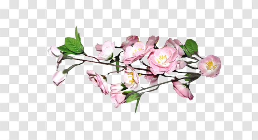 Floral Design Cherry Blossom Clip Art - Pink Blossoms Transparent PNG