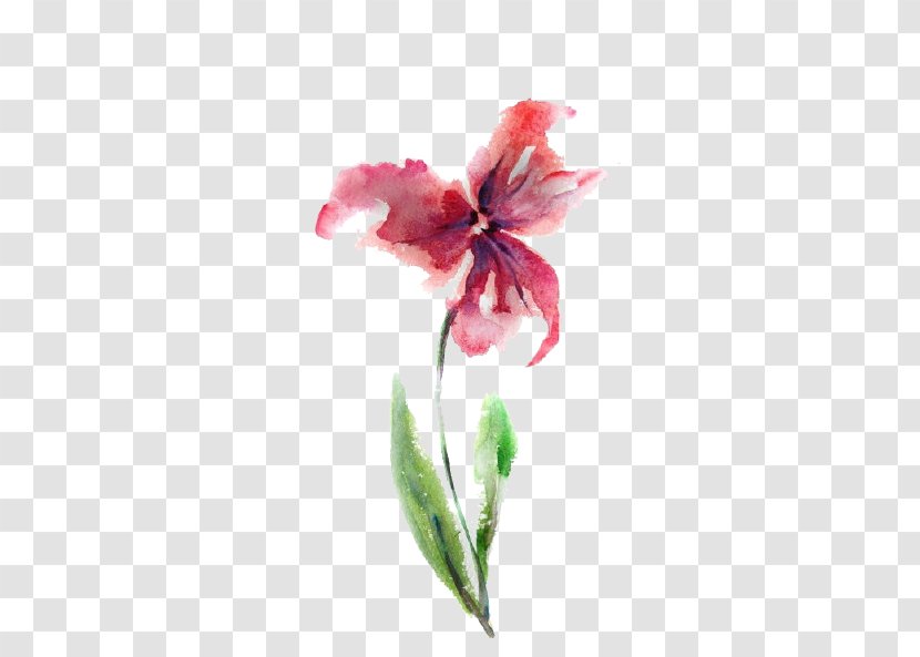 Watercolour Flowers Watercolor: Watercolor Painting Drawing - Seed Plant - Free Hand-painted Pull Material Transparent PNG