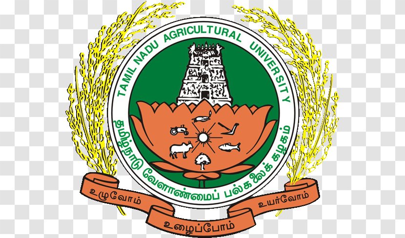 Tamil Nadu Agricultural University College And Research Institute, Killikulam Institute Madurai Recruitment Agriculture - Tree Transparent PNG