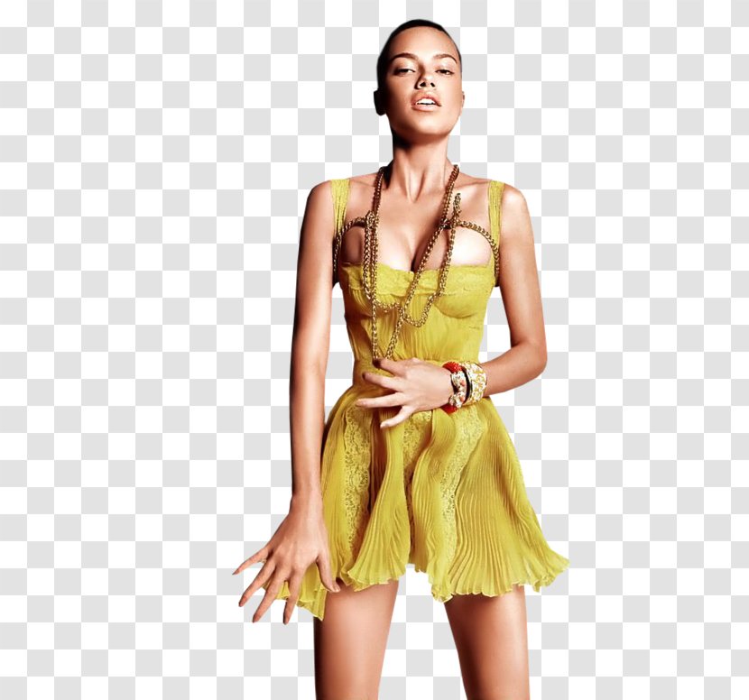 Adriana Lima Painting Fashion Female Woman - Frame Transparent PNG