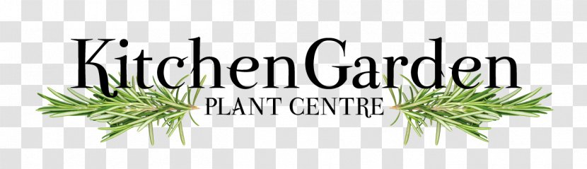 Herb Logo Brand Grasses Font - Plant - Garden Transparent PNG