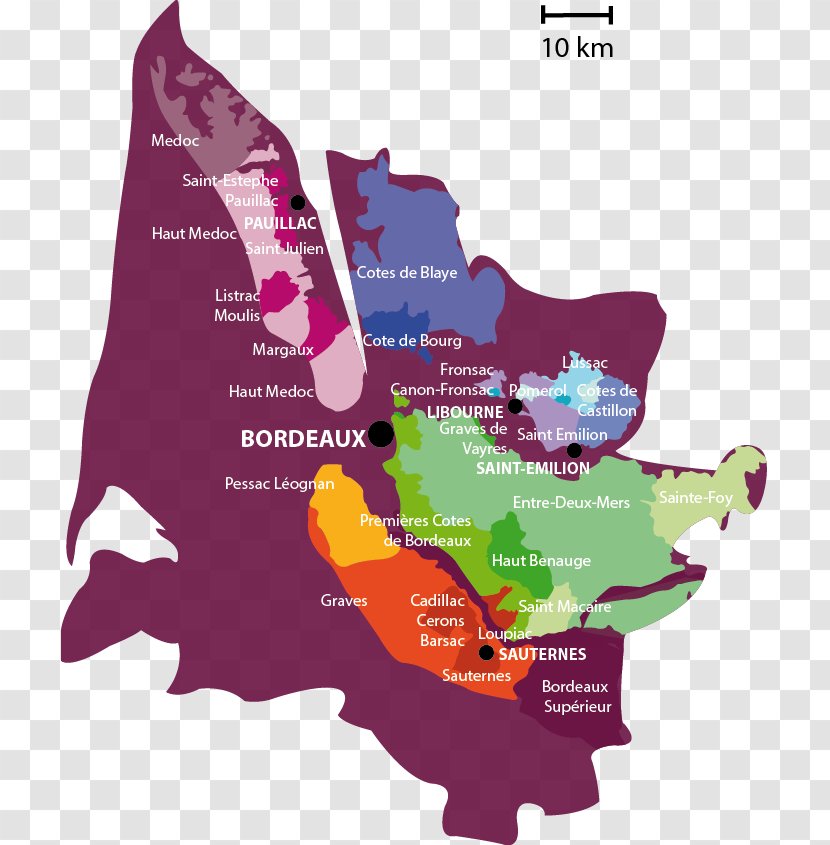 Bordeaux Wine Regional AOCs Route Des Vins - Red Transparent PNG