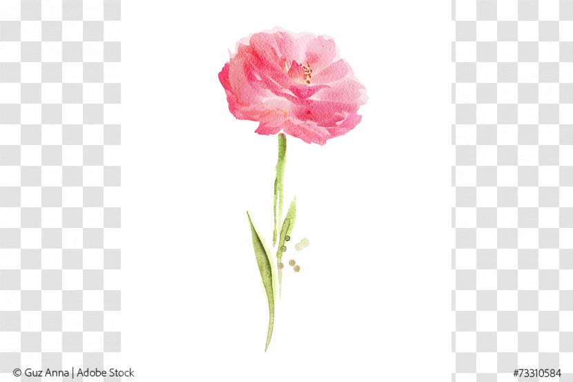 Cut Flowers Garden Roses Carnation - Dianthus - Creative Flower Transparent PNG