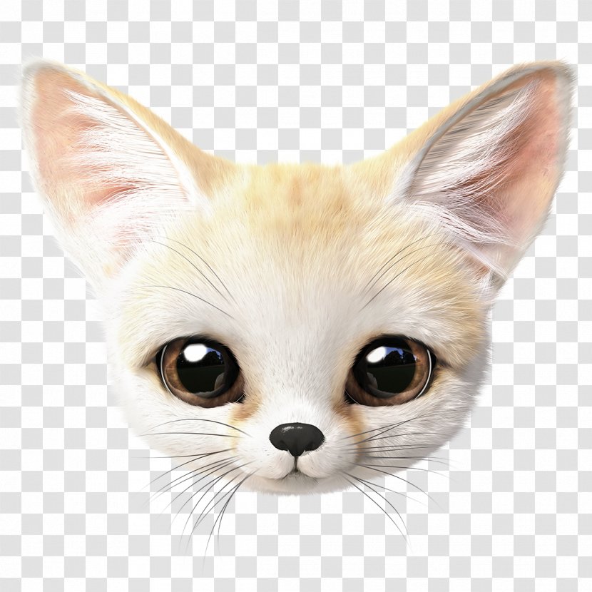 Cat Whiskers Fennec Fox Small To Medium-sized Cats Head - Snout Transparent PNG