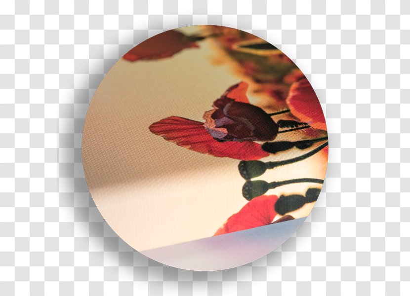 Photography Plain Weave Quality - Agregaty Malarskie Transparent PNG