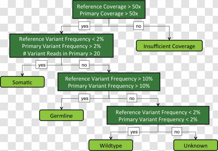 Genome Indel DNA Sequencing Somatic Cell Genomics - Cancer Variant Transparent PNG