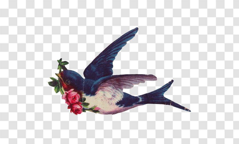 Swallow Tattoo Abziehtattoo Bird Transparent PNG