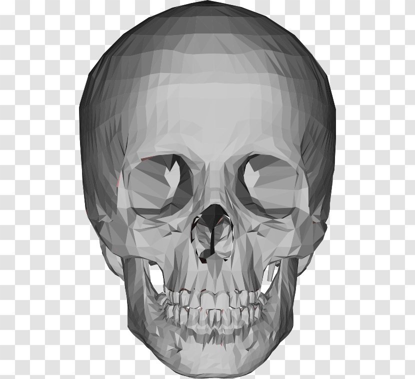 Skull Head Bone Clip Art - Monochrome - Skulls Transparent PNG