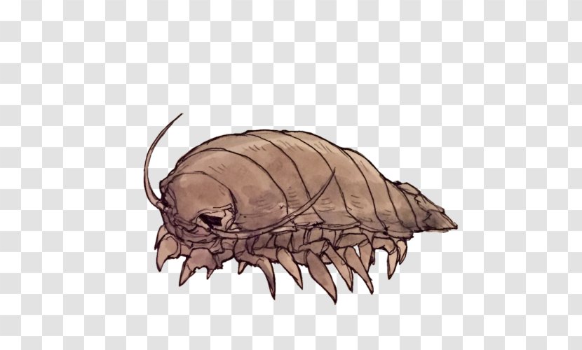 Isopods Giant Isopod Jellyfish Vampire Squid - Audiobook Watercolor Transparent PNG