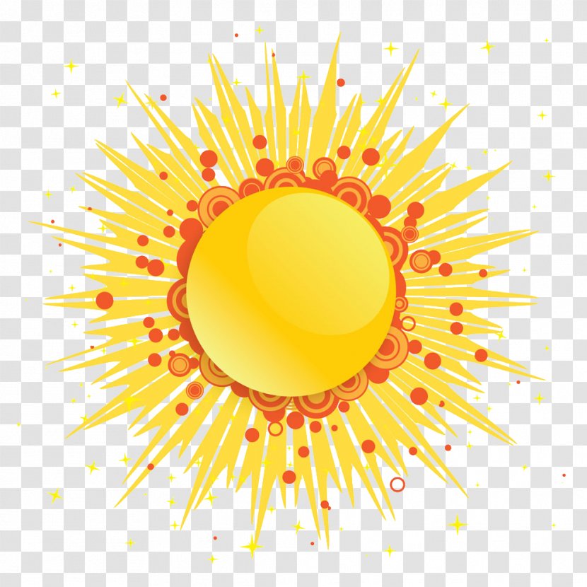 Sun Illustration - Flower Transparent PNG