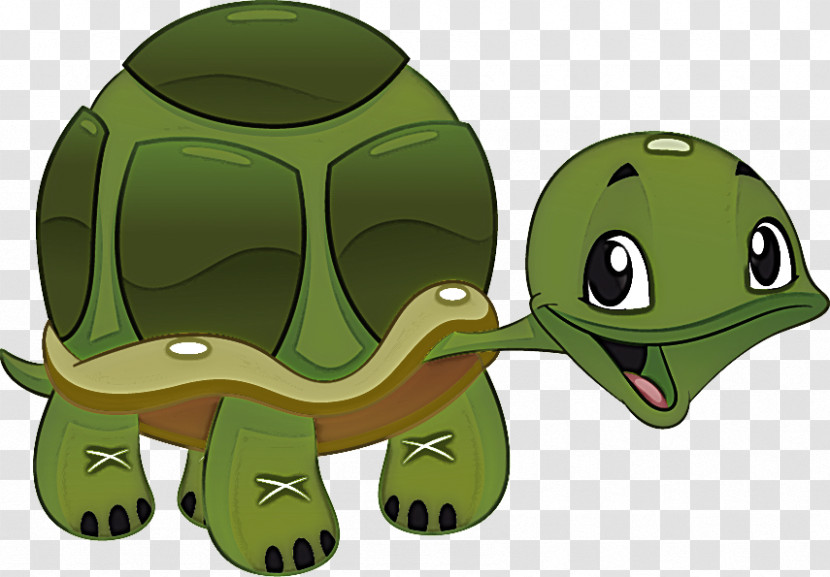 Frogs Tortoise Green Cartoon Science Transparent PNG