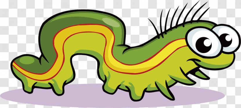 Cartoon Clip Art - Organism - Caterpillar Transparent PNG