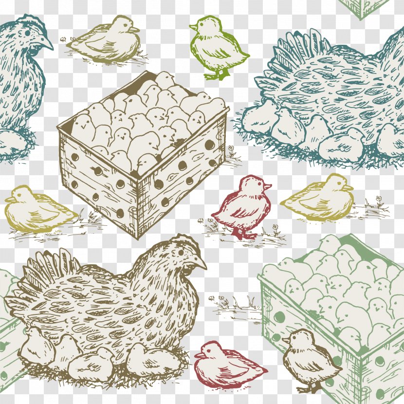 Chicken Computer Graphics Illustration - Information - Vector Color Hand-painted Chicks Transparent PNG