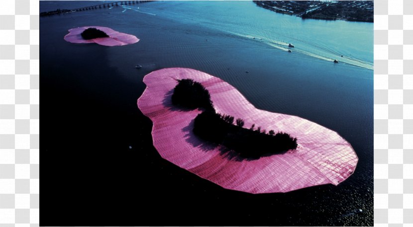 Surrounded Islands Biscayne Bay Pont Neuf Christo And Jeanne-Claude Land Art - Installation - Magenta Transparent PNG