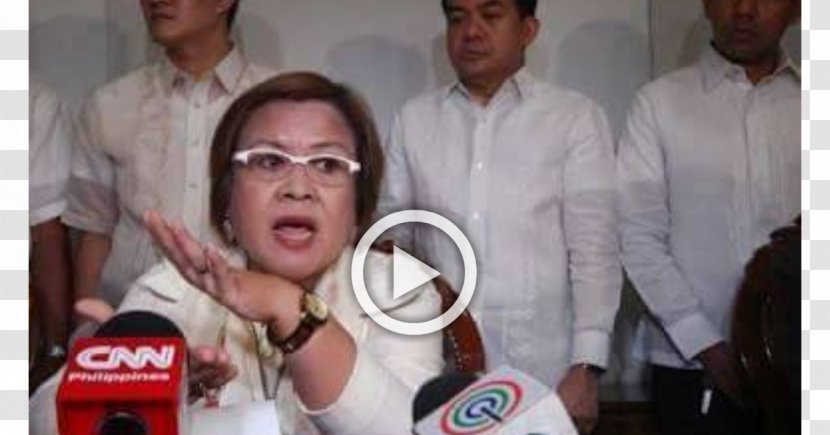 Leila De Lima Presidency Of Benigno Aquino III Senate Illegal Drug Trade Evidence - Frame - Tree Transparent PNG
