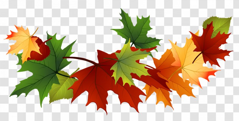 Autumn Leaf Color Clip Art - Blog - Fall Transparent Leaves Clipart Transparent PNG