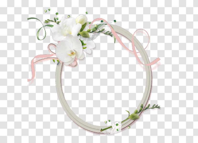 Picture Frame Digital Photo Photography - Film - White Flower Decoration Oval Transparent PNG
