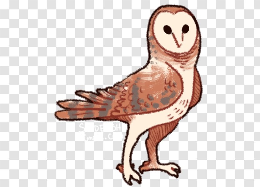 Owl Cartoon - Barn - Tail Wildlife Transparent PNG