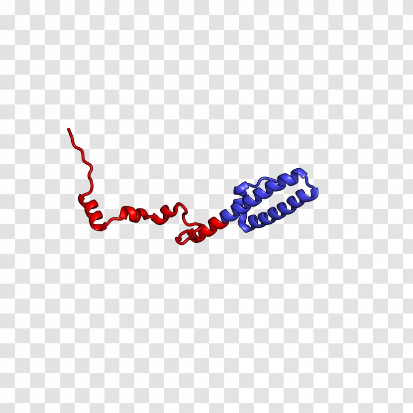 Eukaryotic Large Ribosomal Subunit Ribosome 60S Protein L35 - Red - 35 Transparent PNG