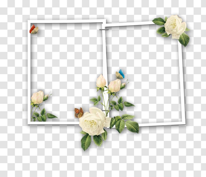 Borders And Frames Day Of The Dead Picture Image - Cut Flowers - Photography Transparent PNG