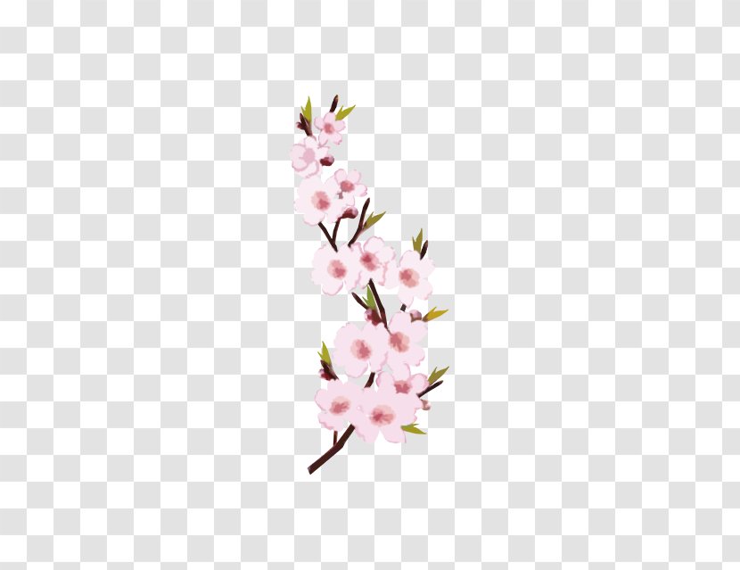 Download Peach - Pink - Branches Transparent PNG