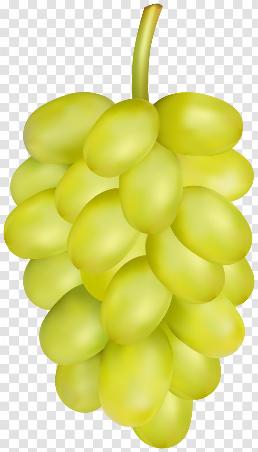 Common Grape Vine Sultana Seedless Fruit Zante Currant - Grapevine Family - Birdsnest Banner Transparent PNG