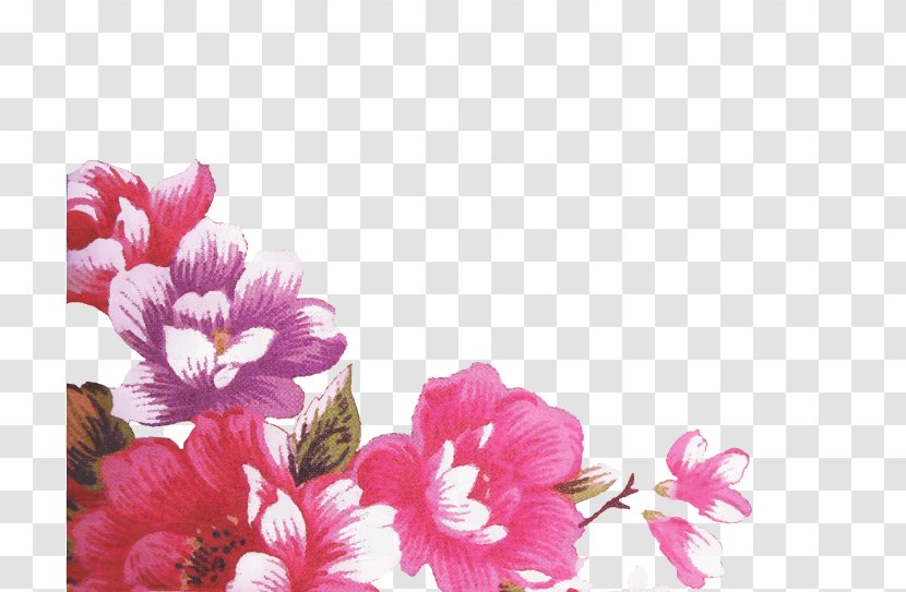 Azalea Floral Design Image Flower Foundation - Plant Transparent PNG