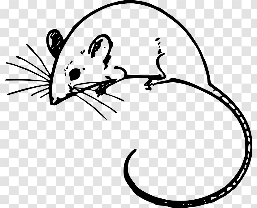 Computer Mouse Arc Microsoft Clip Art - Line Transparent PNG