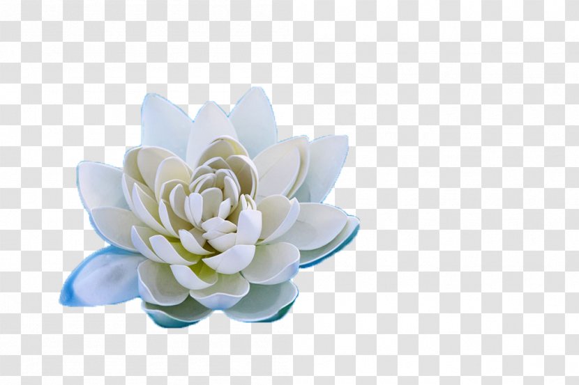 Floral Design Cut Flowers Rosaceae Petal Wallpaper - Lotus Transparent PNG