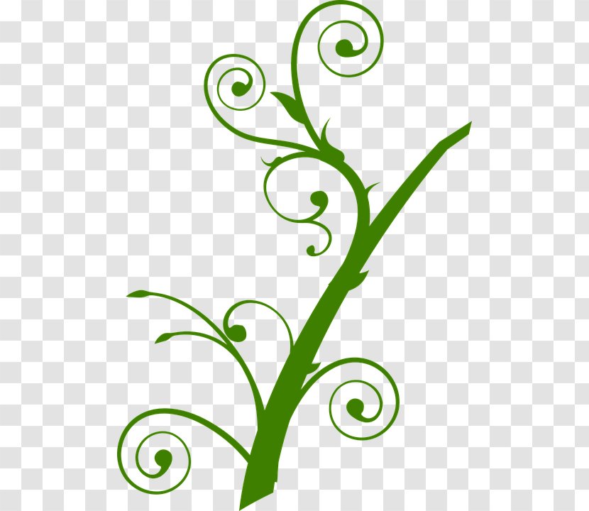 Branch Tree Drawing Clip Art - Green - Maiz Transparent PNG