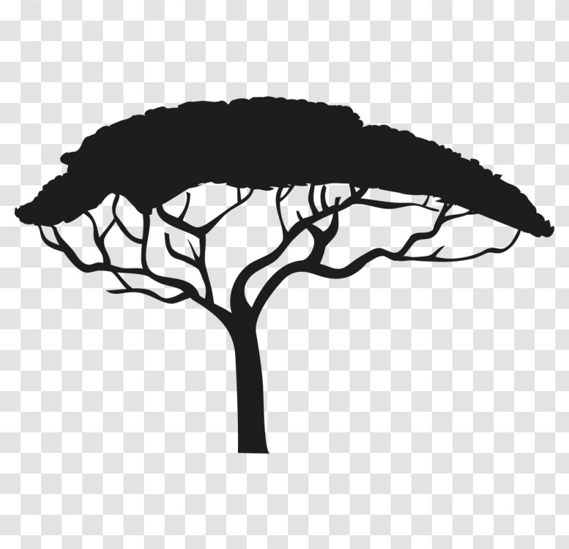 Africa Silhouette Tree Drawing - Flowering Plant - Urban Vector Transparent PNG
