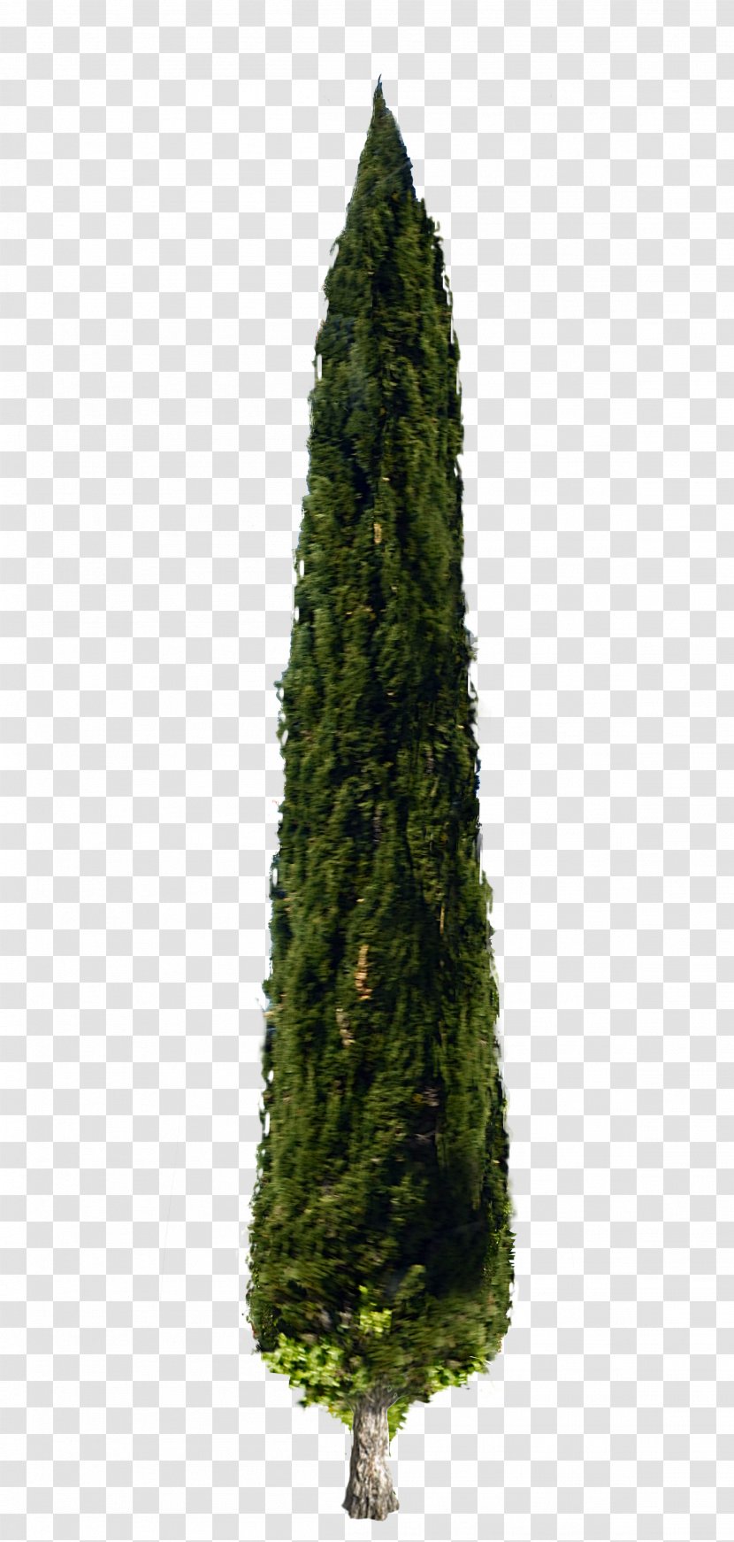 Artificial Christmas Tree Mediterranean Cypress Evergreen Conifers - Italy Transparent PNG