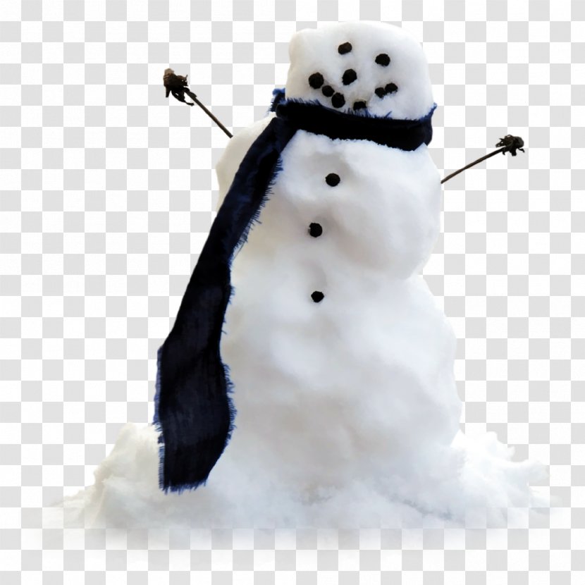 Snowman Photography Christmas - Stock Transparent PNG