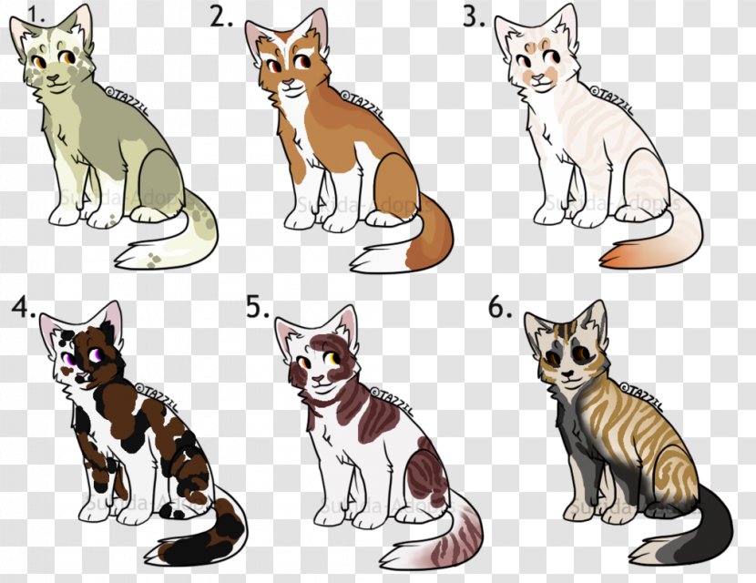 Wildcat Whiskers Felidae Art - Red Fox - Cat Transparent PNG