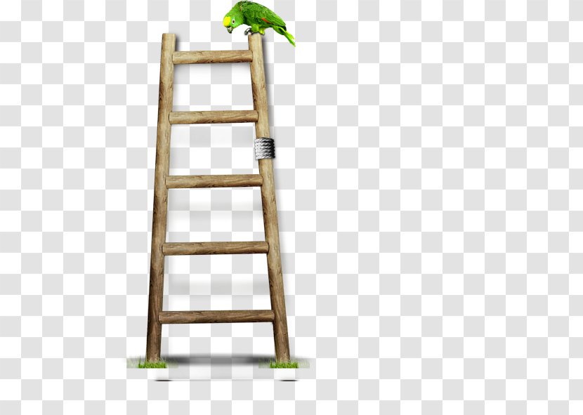 Ladder Wood Stairs Transparent PNG