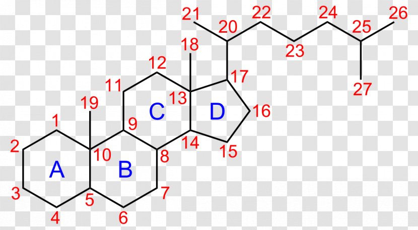 Cholesterol Steroid Sterane Lipid - Frame - Molecular Chain Deductible Transparent PNG