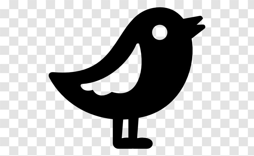 Bird Icon - Beak - Svg Animation Transparent PNG