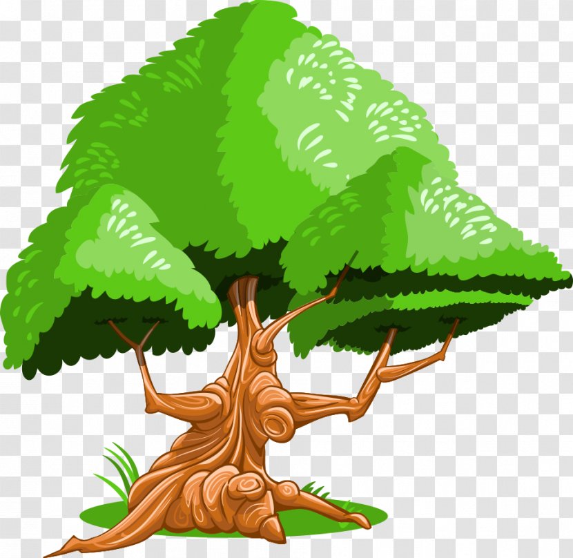 Vector Cartoon Green Trees - Plant - Understory Transparent PNG