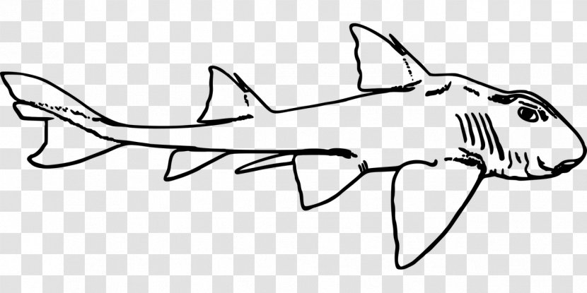 Leopard Shark Clip Art - Shoe Transparent PNG