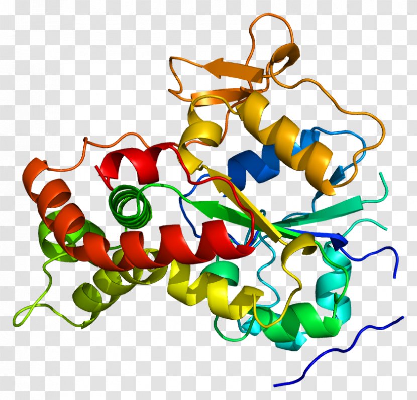 NDST1 Gene Sulfotransferase Sulfate Clip Art - Heart - Silhouette Transparent PNG