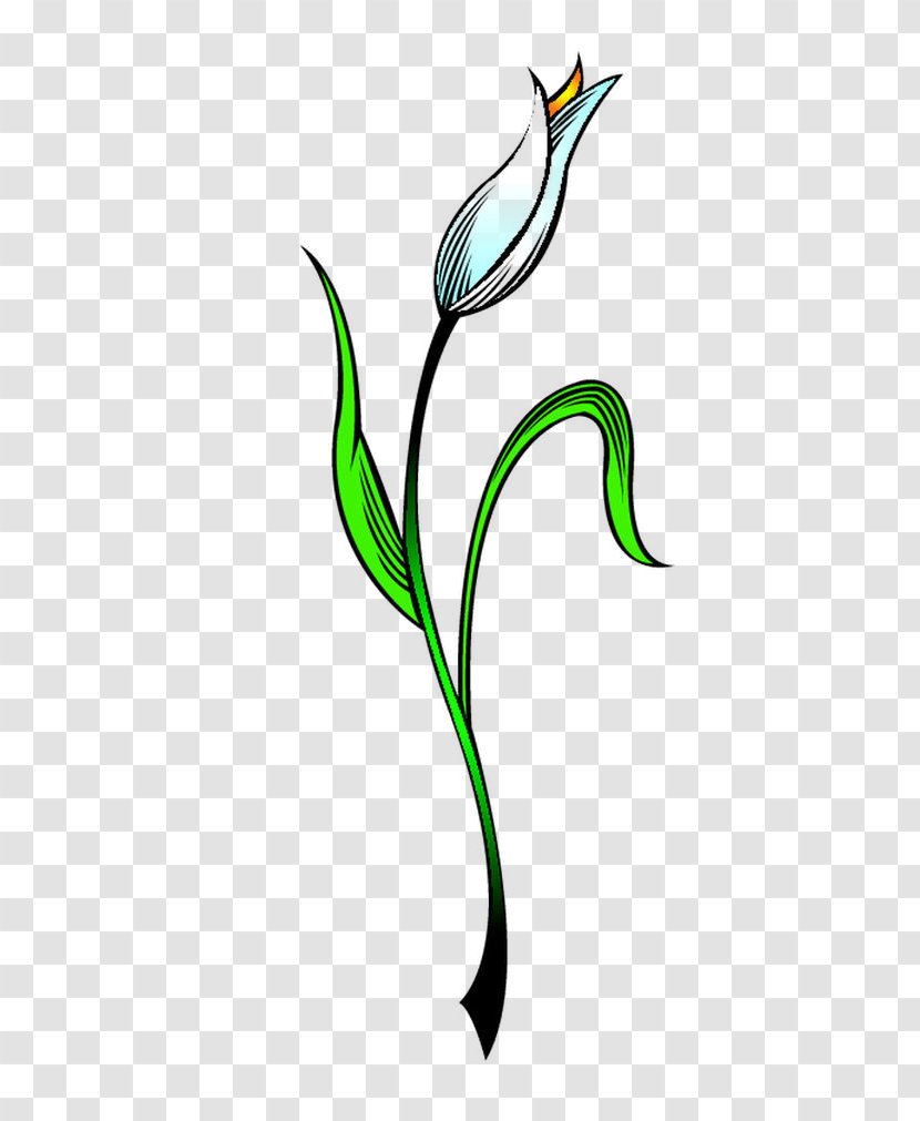 Tattoo Motif Clip Art - Flowering Plant - Vector Flower Bones Transparent PNG