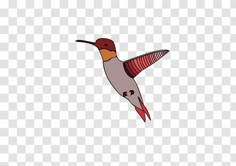 Hummingbird Wing - Humming Bird Transparent PNG