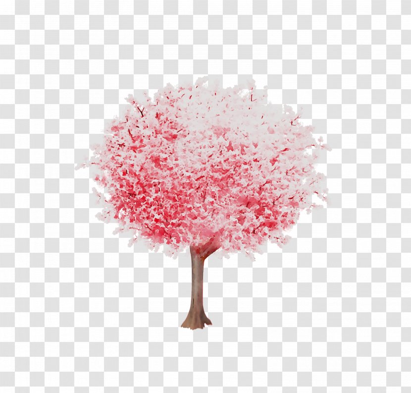 Cherry Blossom ST.AU.150 MIN.V.UNC.NR AD Pink M Cherries - Cut Flowers Transparent PNG