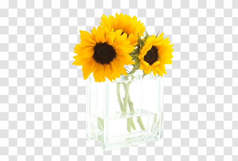 Common Sunflower Morning Cut Flowers - Love - Glass Vase Transparent PNG