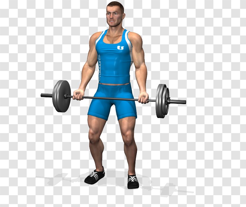 Biceps Curl Barbell Physical Exercise Dumbbell - Heart Transparent PNG